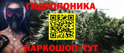 ГАЛЛЮЦИНОГЕННЫЕ ГРИБЫ Сланцы