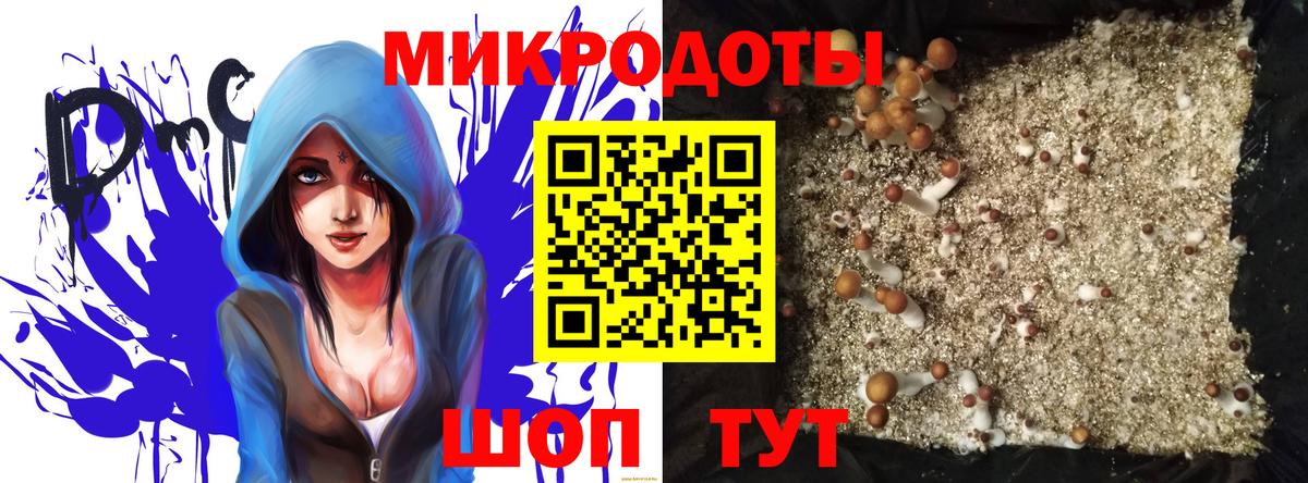 Таганрог  Псилоцибиновые грибы MAGIC MUSHROOMS  Вход с VPN 